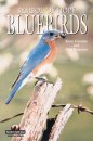 bluebirds grooms-peterson